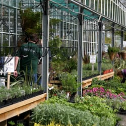 Bodmin Plant And Herb Nursery Gardening Centres Lavidon Mill Photo Of Bodmin Plant And Herb Nursery Cornwall United Kingdom