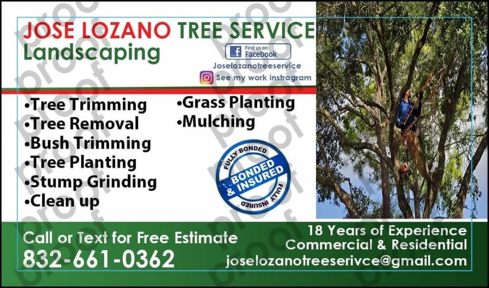 Jose Lozano Tree Services