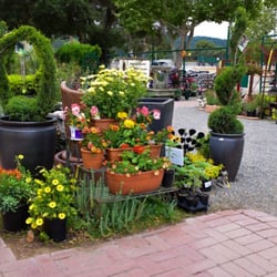 Bay Laurel Garden Center 11 Photos 26 Reviews Nurseries Photo Of Bay Laurel Garden Center Atascadero Ca United States