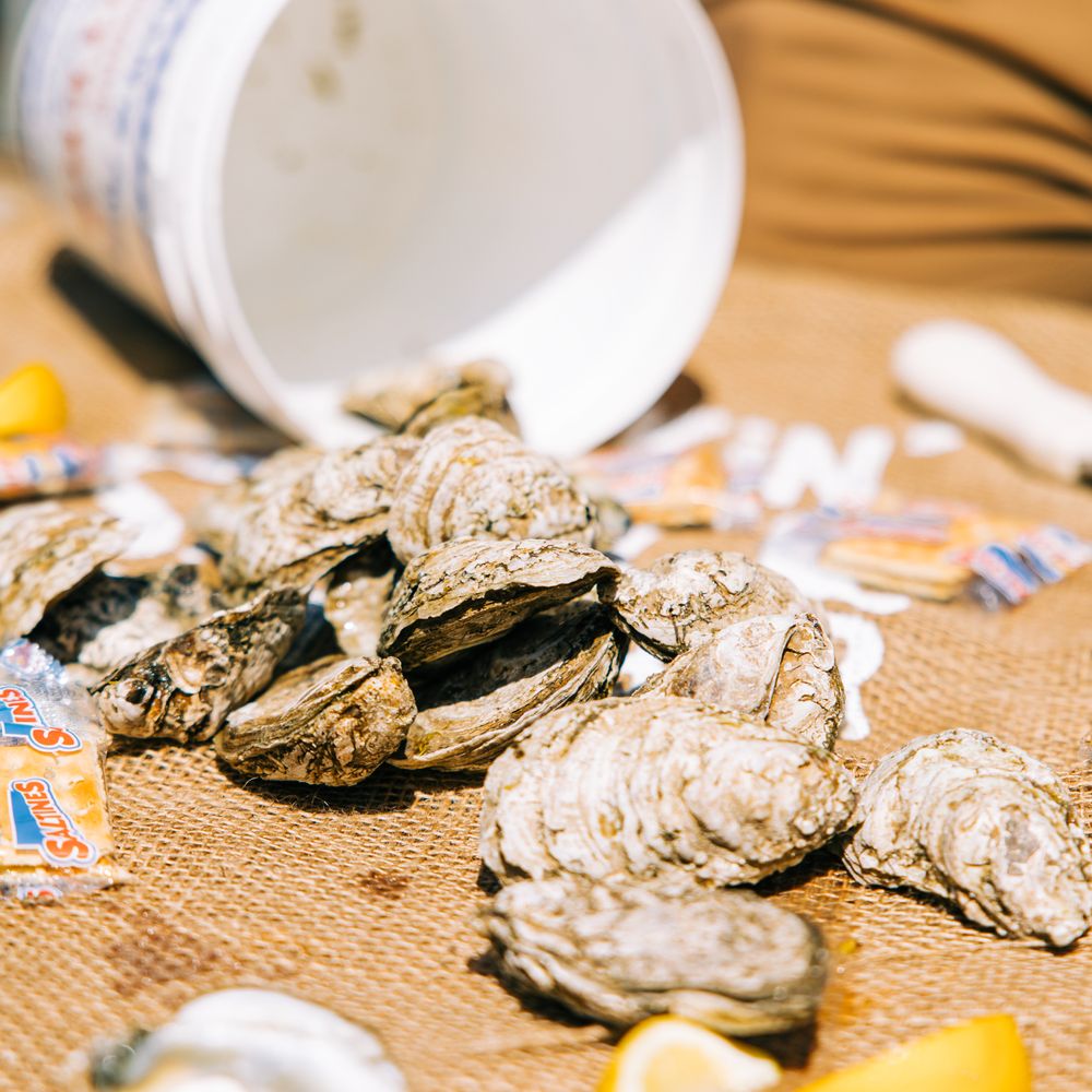 Shuckin' Shack Oyster Bar