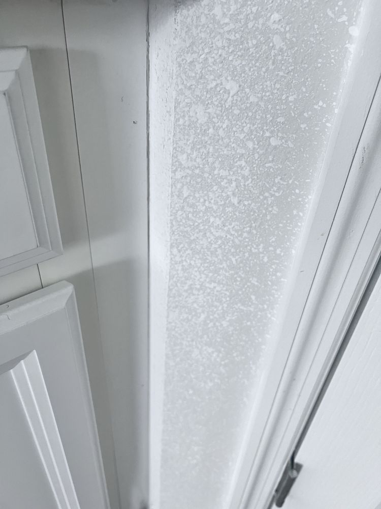 SERVPRO of Lake County