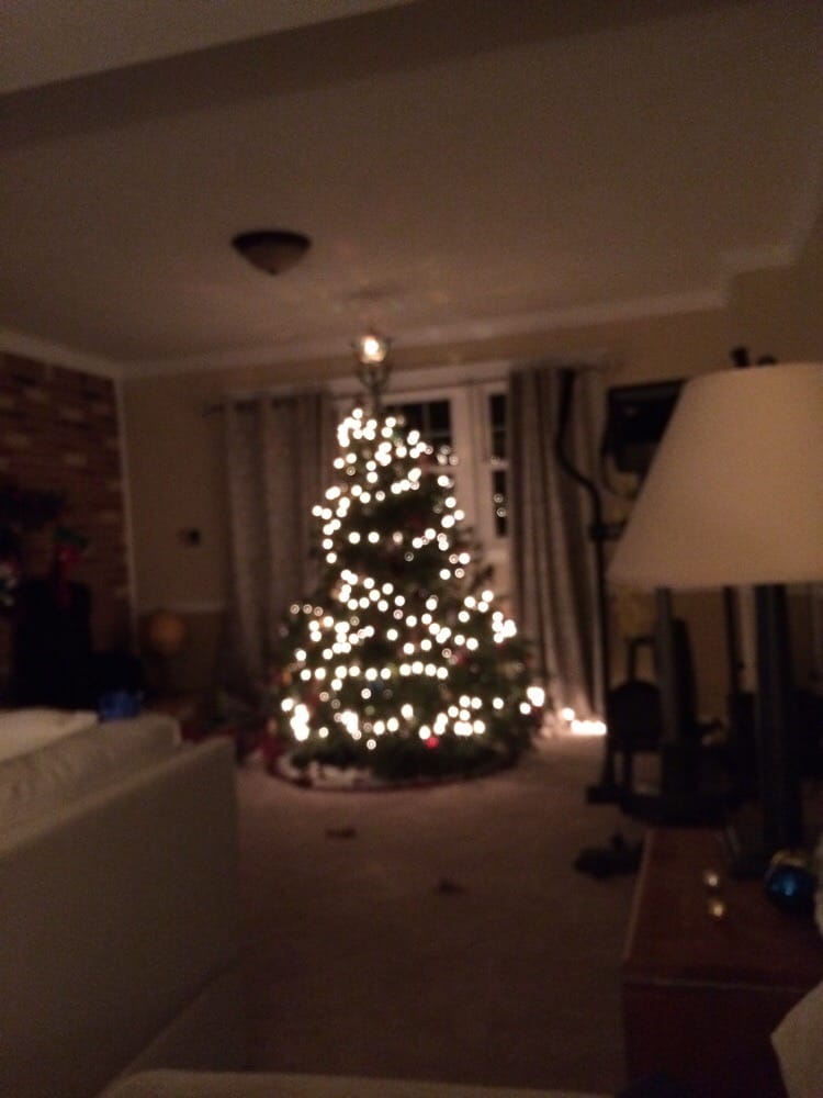 joe s christmas trees closed 18 reviews christmas trees joe s christmas trees closed 18 reviews christmas trees 42550 sweetwater ln chantilly va phone number yelp