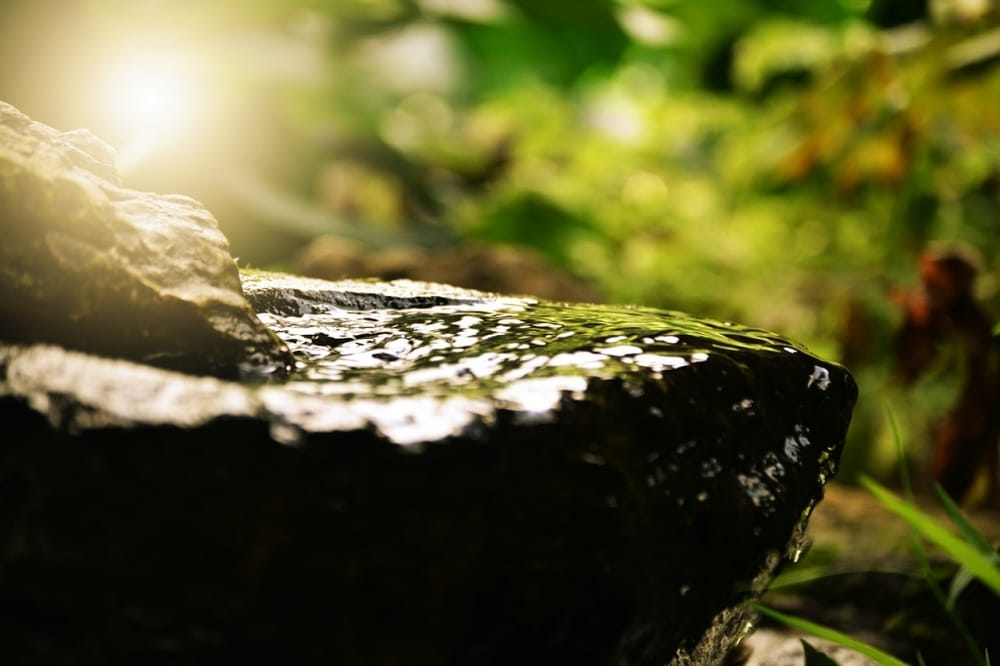 Advanced Holistic Health