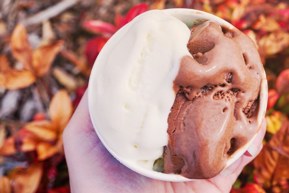 Gus’s Gelato