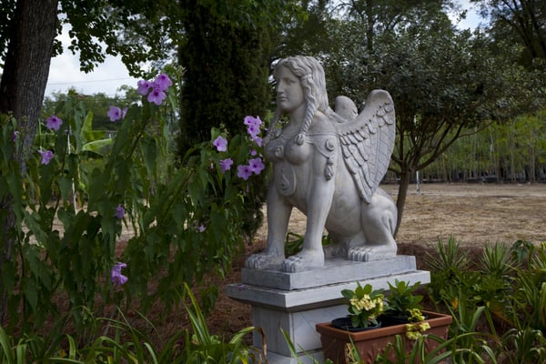 Ty Nursery 4723 Us Highway 82 W Ga Nurseries Mapquest