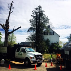 Green Vista Tree Care 13 Photos Services 7311 Highland St Photo Of Green Vista Tree Care Springfield Va United States
