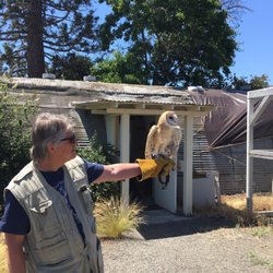 bird rescue center animal rescue shelters 3430 bird rescue center animal rescue shelters 3430