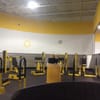 Ms