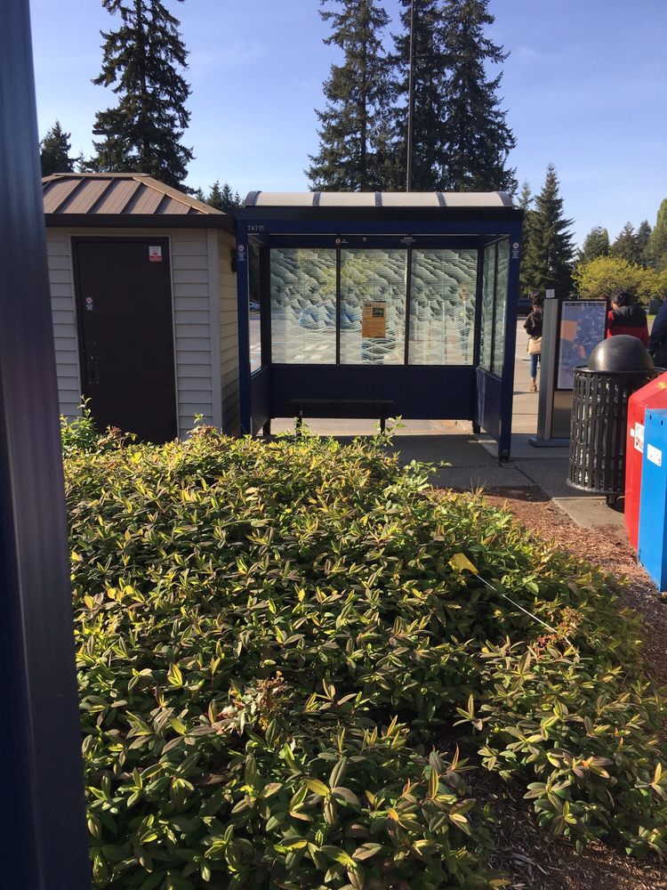 Kingsgate Park & Ride