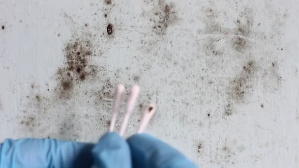 Pillar To Post Home Inspectors - Angelo Baerga