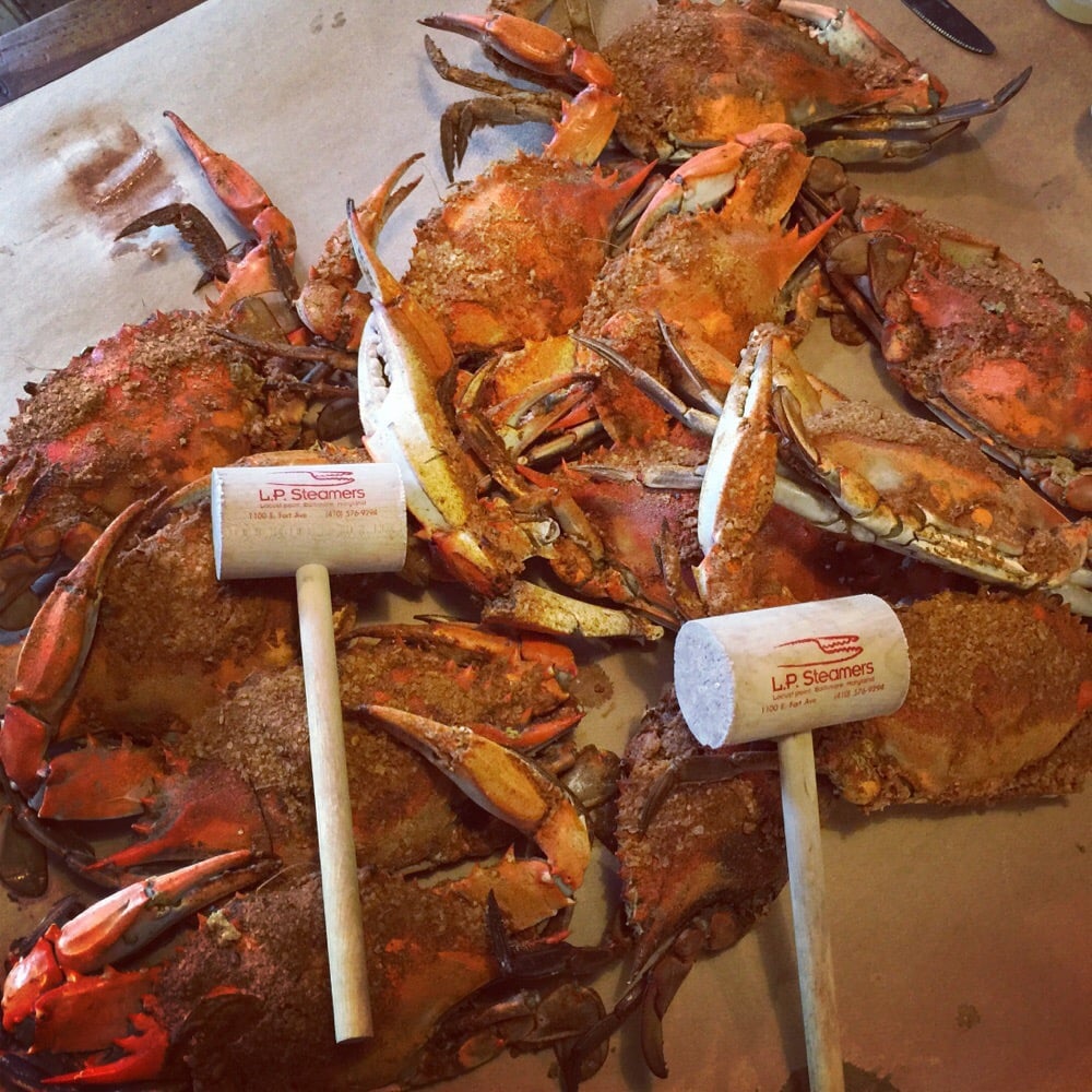 L P Steamers 620 Photos & 648 Reviews Seafood Riverside