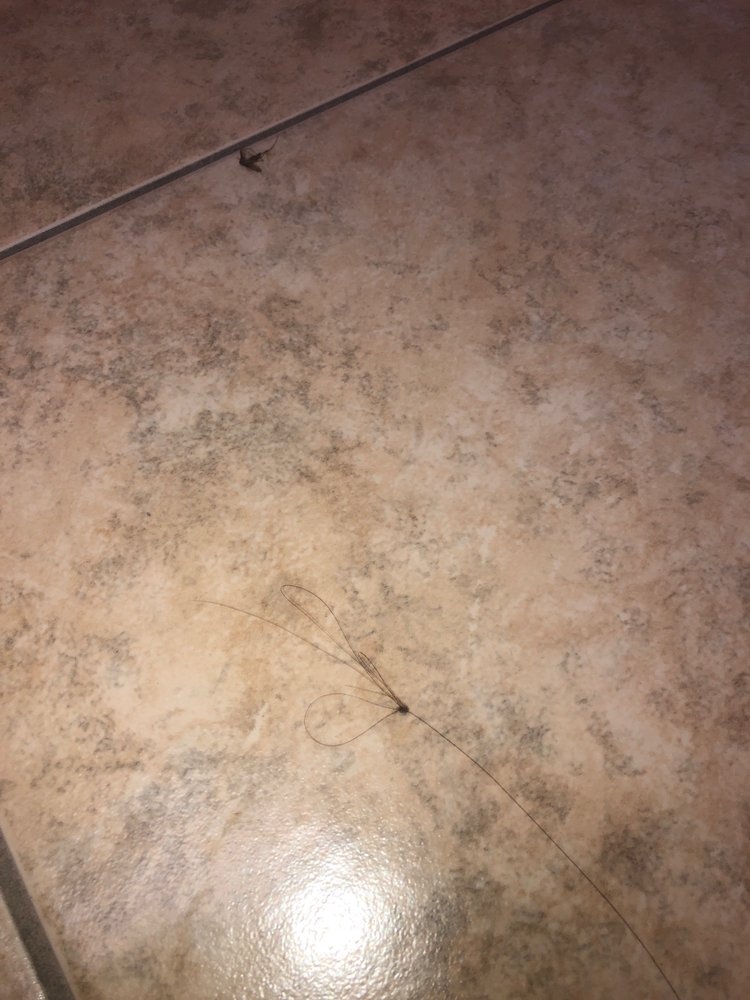 image of business Sharma Aparna, MD