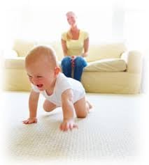 Busy Buddy Carpet