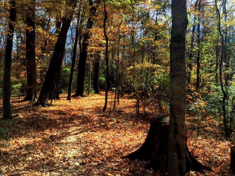 Concord Park 21 Photos & 10 Reviews Parks Concord Park Dr And