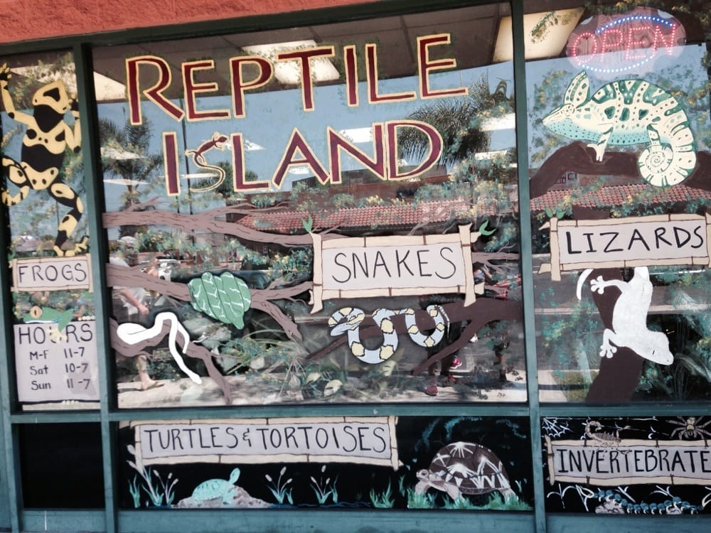 Reptile Island - 84 Photos & 101 Reviews - Pet Stores - 7157 Katella