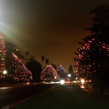 Christmas Tree Lane - CLOSED - 46 Photos & 13 Reviews - Christmas Photo of Christmas Tree Lane - San Marino, CA, United States - Christmas Tree Lane - CLOSED - 46 Photos & 13 Reviews - Christmas