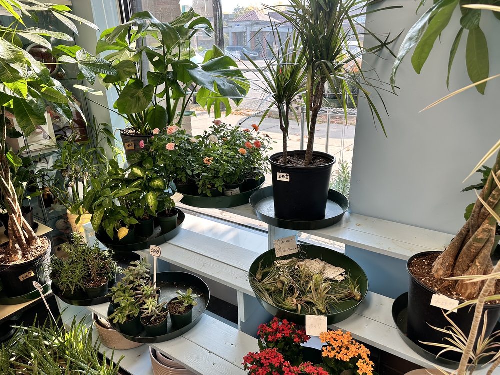 Flower Expressions Florist