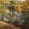 Manistee River Trail gift card