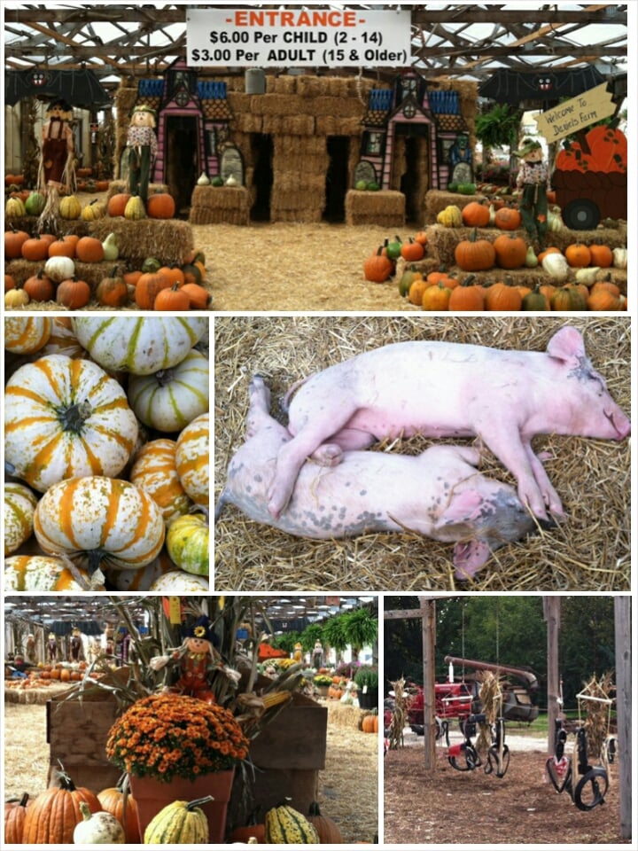 Daniel’s Farm & Greenhouse Landscaping 352 Jungermann Rd, St Peters