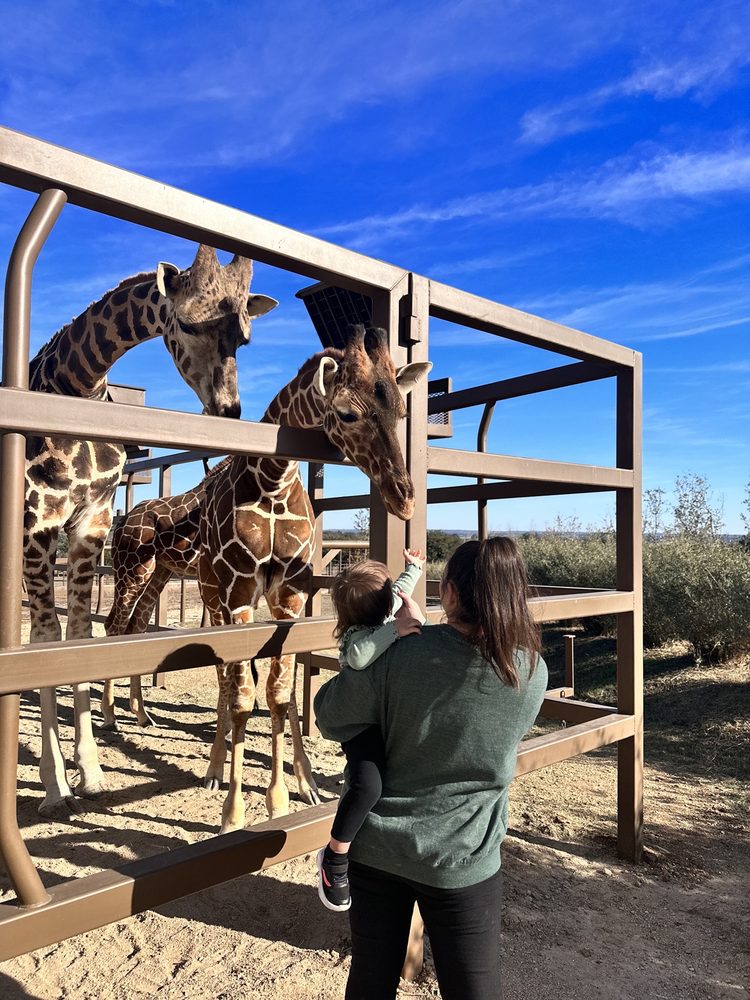 The Preserve, Fredericksburg Roadtrippers