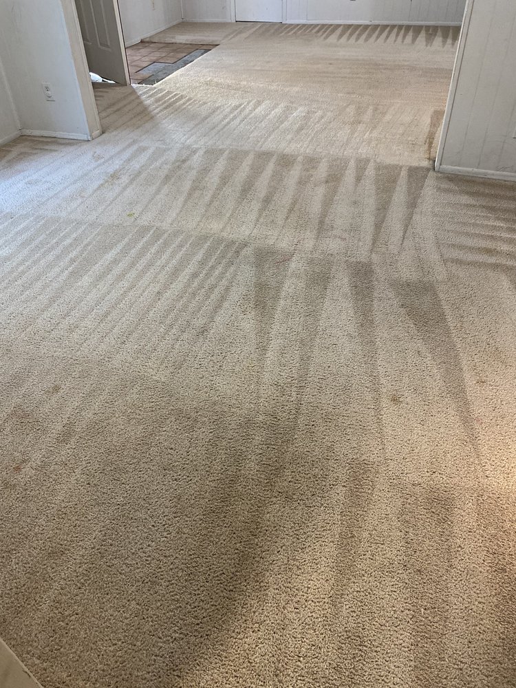 Blue Ribbon Carpet Cleaning