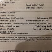 24petwatch 196 reviews pet services eastside buffalo ny 24petwatch claim form
