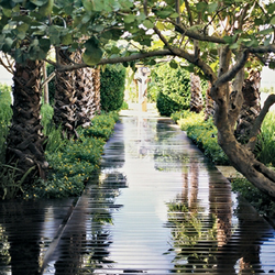 The Standard Spa Make An Ointment 64 Photos 75 Reviews Photo Of The Standard Spa Miami Beach Fl United States Grounds At
