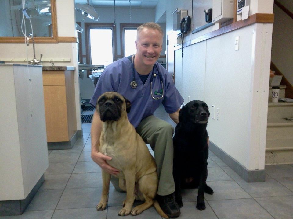 Photos for Hamilton Animal Care Yelp