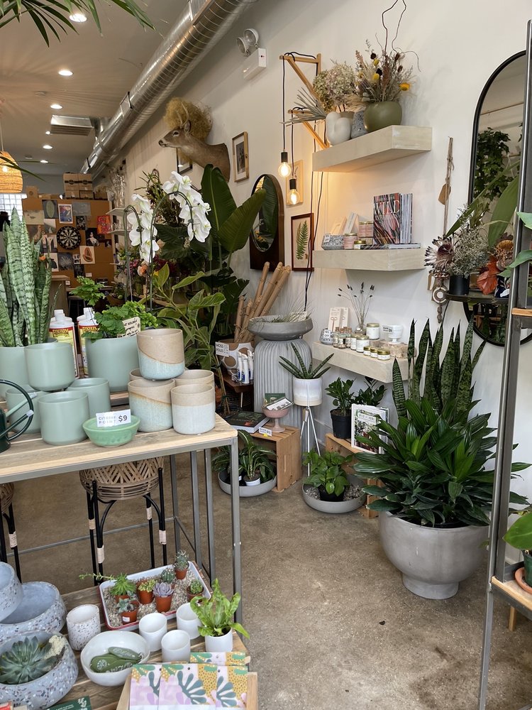 image of business Coach House Plants