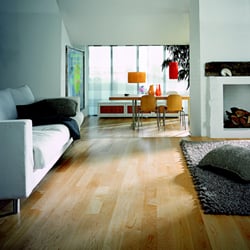 First Floors Carpet One Floor Home 27 Photos Carpeting