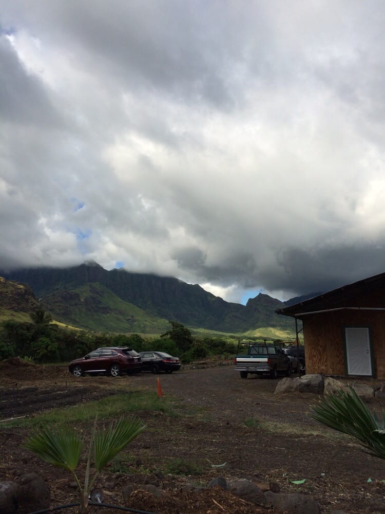 Ma’o Organic Farms 15 Photos Local Flavor 86210 Puhawai Rd