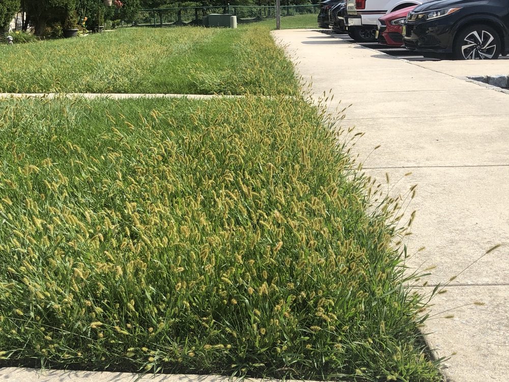 Premier Lawn Care