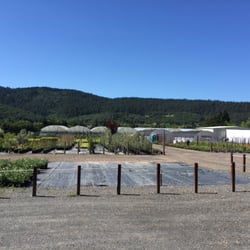 Novavine Grapevine Nursery Nurseries Gardening 6735 Sonoma Hwy Photo Of Novavine Grapevine Nursery Santa Rosa Ca United States Some