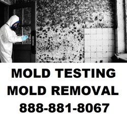 Top 10 Best Asbestos Popcorn Ceiling Removal Near San Pedro Los