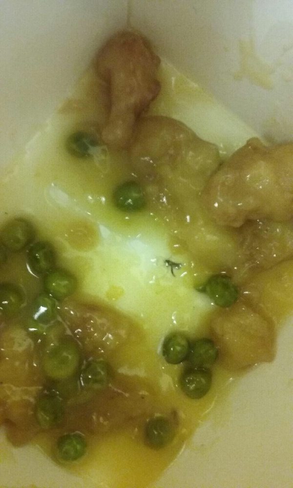 Bug In Food Never Coming To This Place Again Yelp Photo Of The Great Wall Restaurant Lafayette Ca United States Bug In