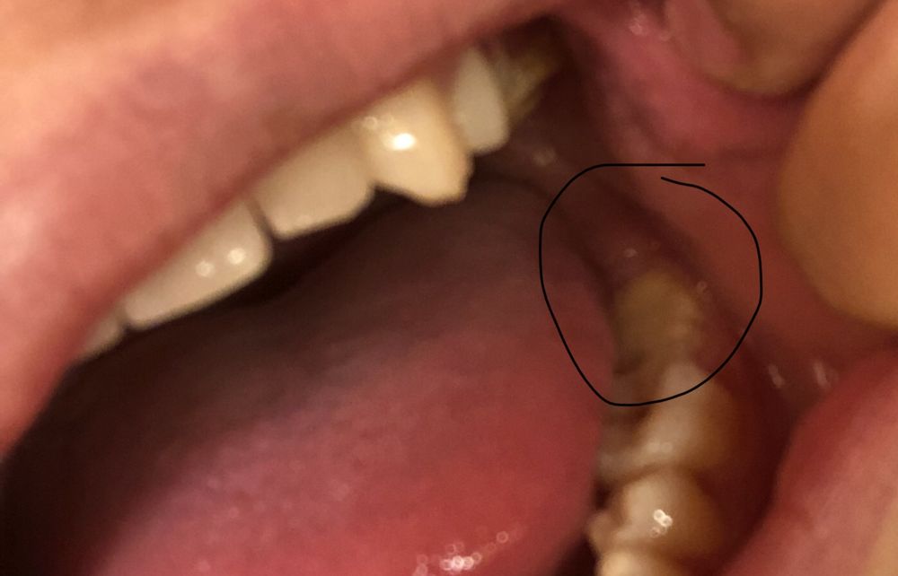image of business Chester County Dental Arts