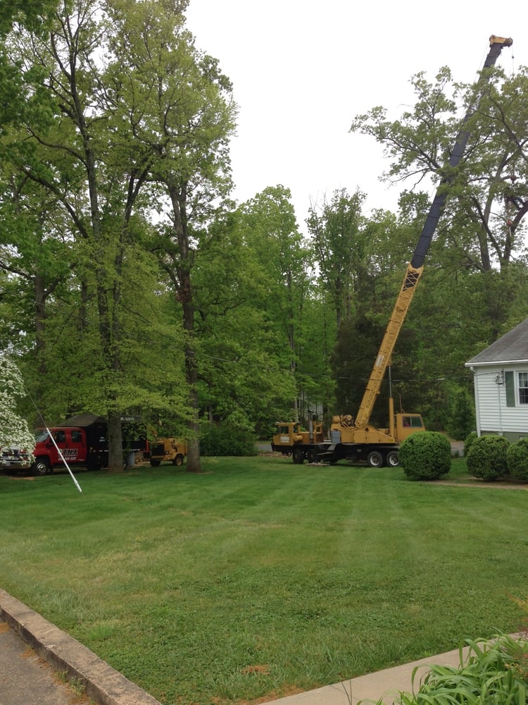 TNT Contracting