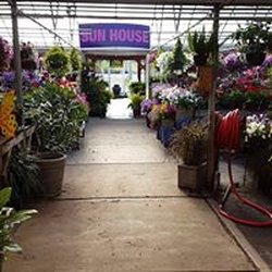 The Plant Outlet Nursery and Garden Center - Nurseries & Gardening