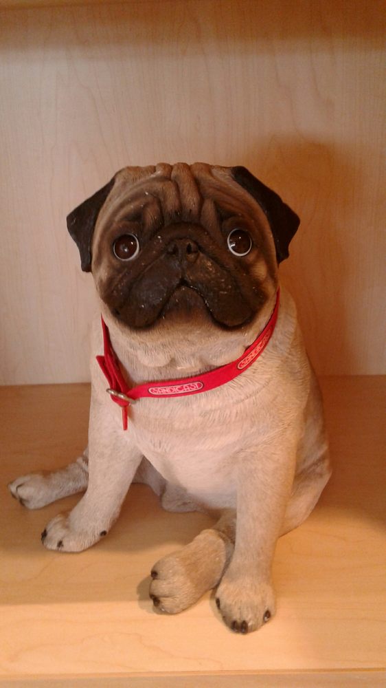 VCA Animal Care Center of Sonoma County 29 Photos & 144 Reviews