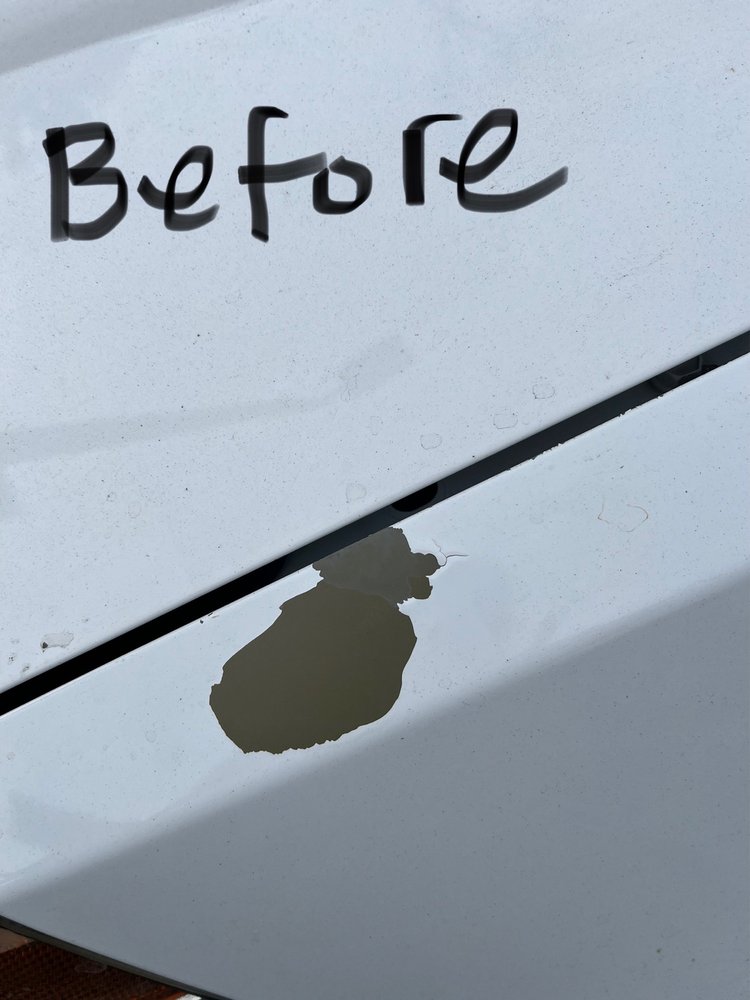The Professionals Mobile Auto Body & Touch Up