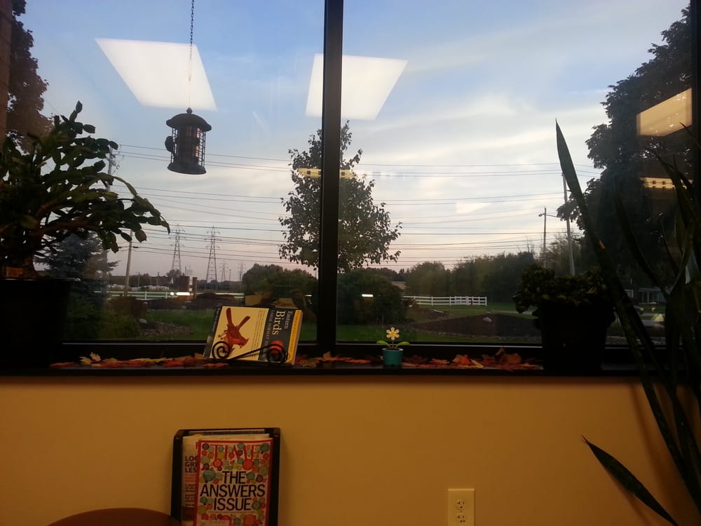 image of business Brian J Britt, DDS