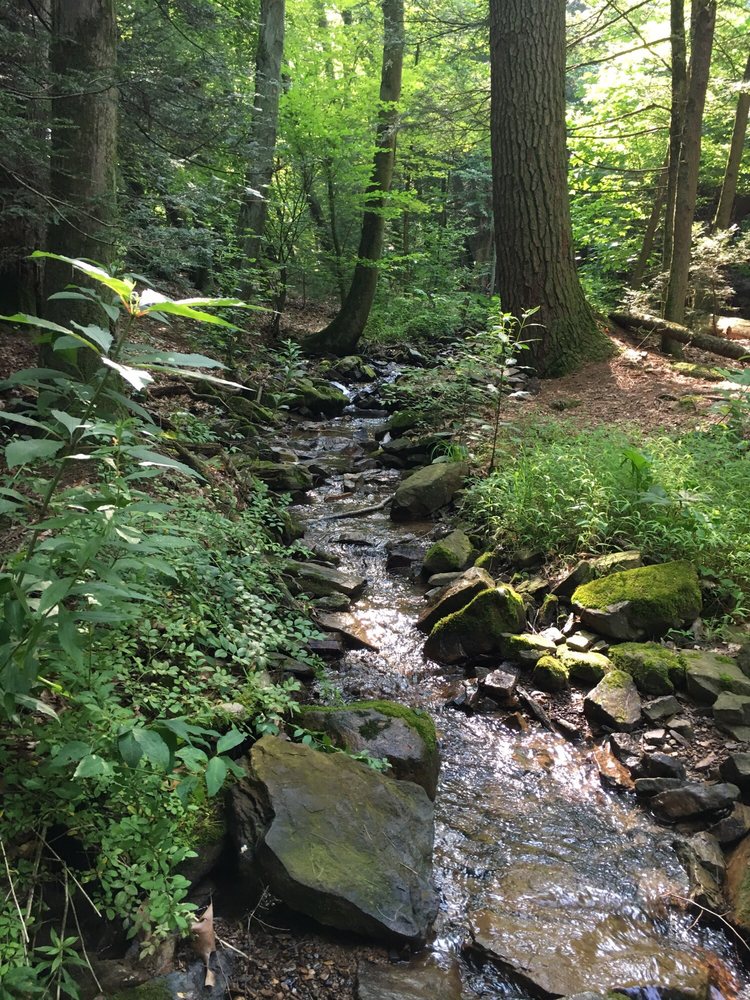 Swatara State Park 12 Photos Hiking 700 Suedberg Rd, Pine Grove
