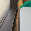 Ms
