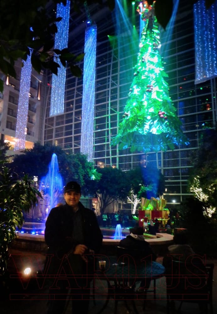 gaylord national harbor christmas tree lighting event 2014 by national harbor christmas