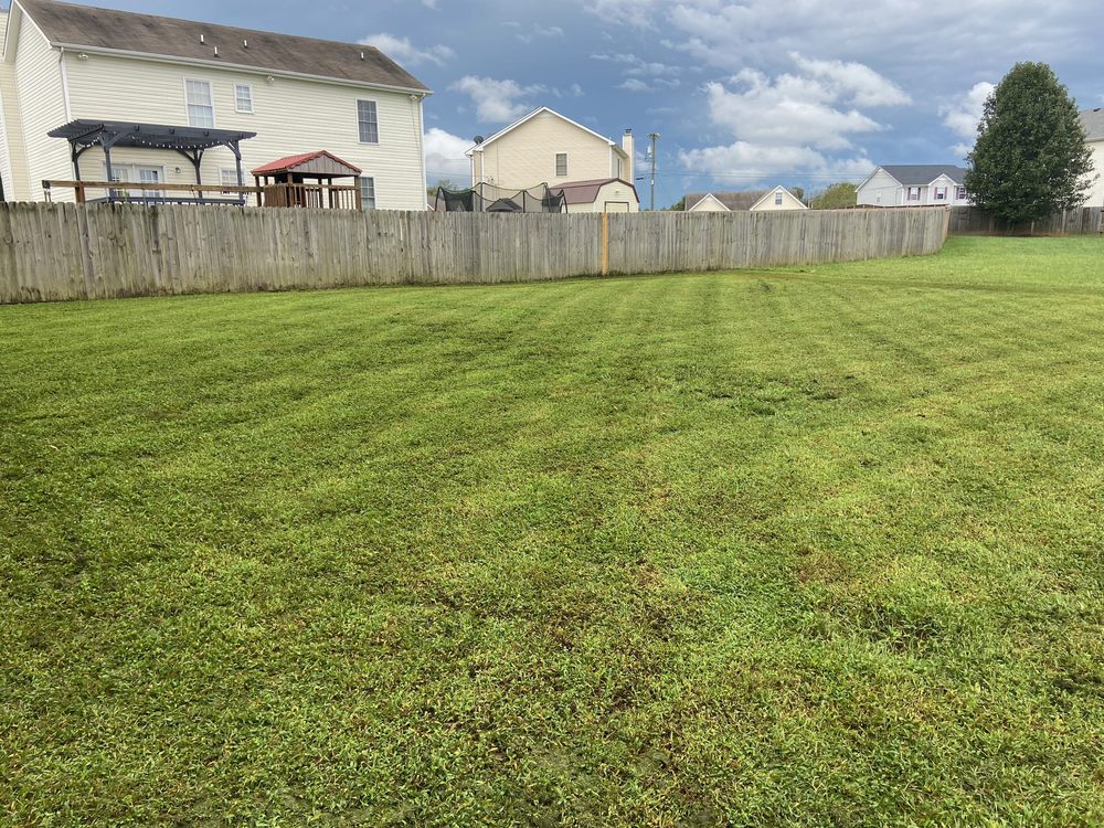 FreeBee Lawncare