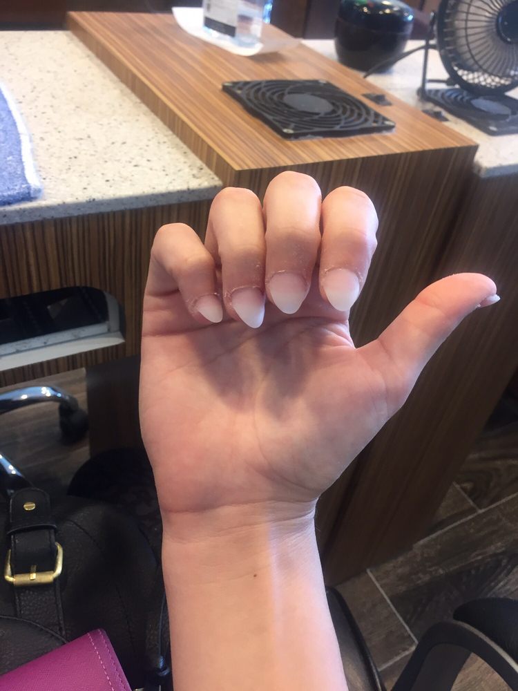 The Shark Tooth Special Yelp Photo Of Famous Nails Kent Oh United States The Shark Tooth Special