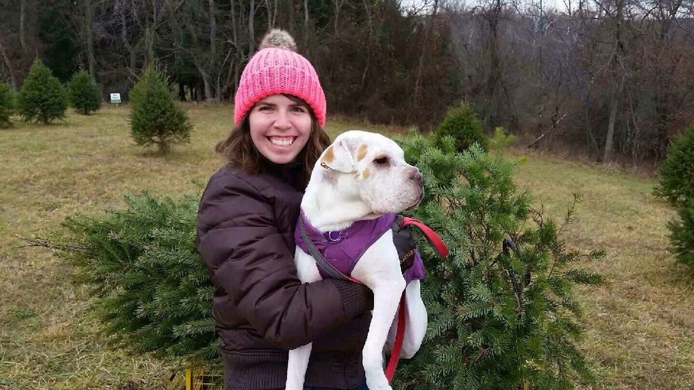 Middleburg Christmas Tree Farm