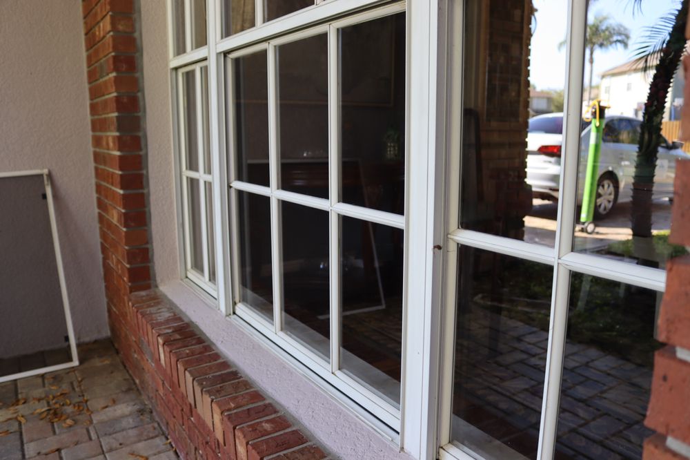 Winter Garden Windows