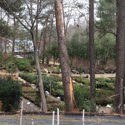 Accent Nursery And Landscaping Nurseries Gardening 4448 Photo Of Accent Nursery And Landscaping Douglasville Ga United States