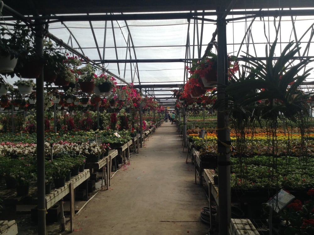 Welcome To Joseph S Nursery Yelp Photo Of Joseph S Nursery Pearland Tx United States Welcome To